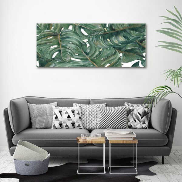 Foto obraz na plátně Monstera oc-101969533