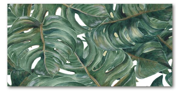 Fotoobraz na skle Monstera osh-101969533
