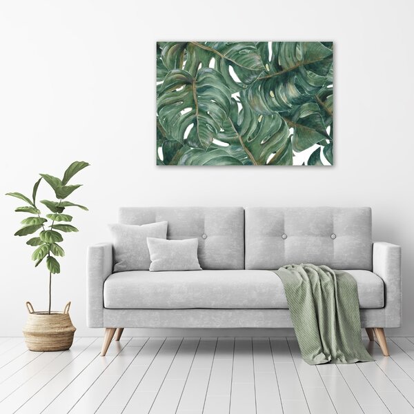 Foto obraz na plátně Monstera oc-101969533
