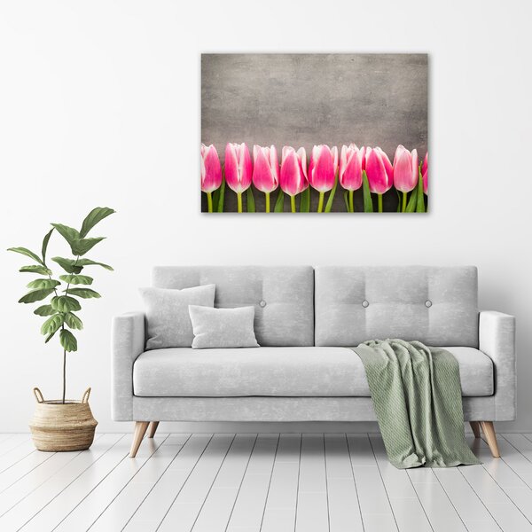 Foto obraz na plátně do obýváku Růžové tulipány oc-102142486