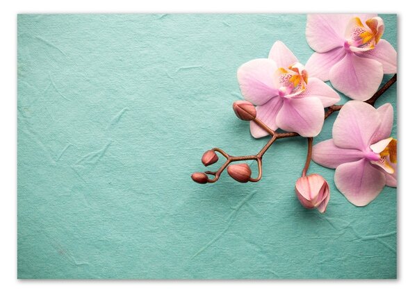 Foto obraz sklo tvrzené Orchidej osh-102905480