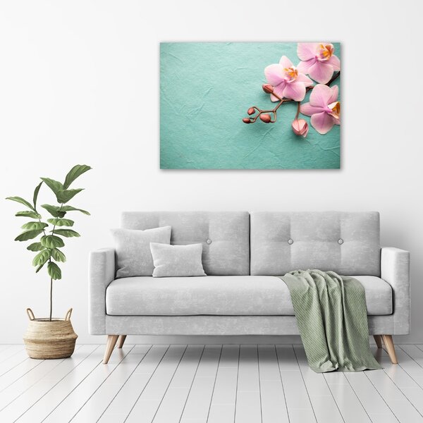 Foto obraz na plátně do obýváku Orchidej oc-102905480