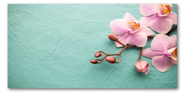 Foto obraz sklo tvrzené Orchidej osh-102905480