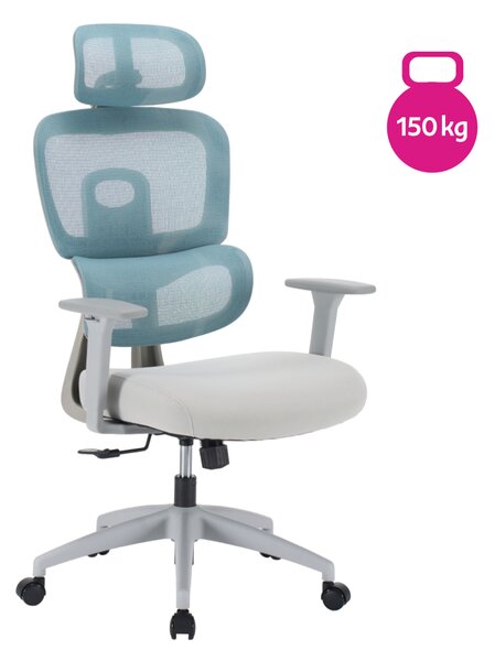 Ergonomická kancelářská židle NEONIT - neomint síťovina / šedá látka / nosnost 150 kg