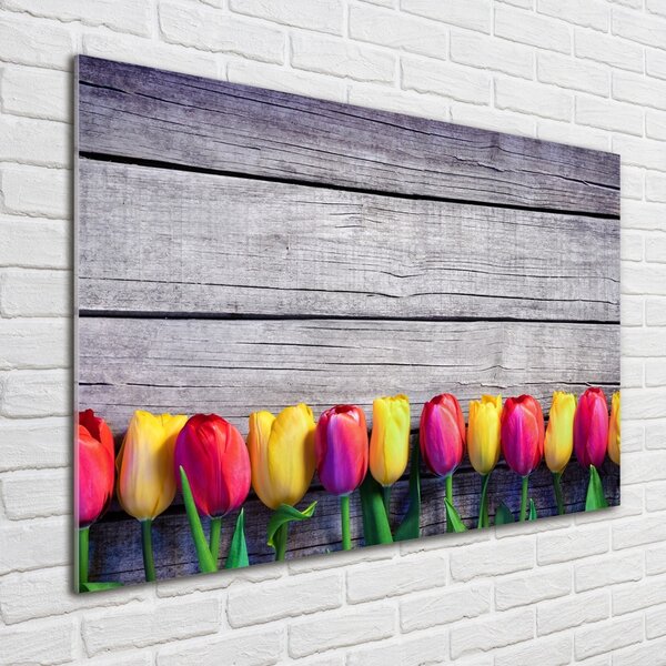 Foto obraz skleněný horizontální Tulipány na stromě osh-103218042