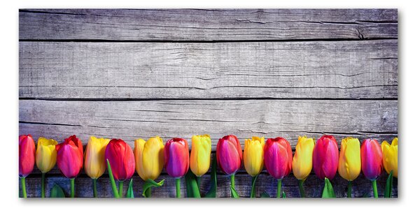 Foto obraz skleněný horizontální Tulipány na stromě osh-103218042
