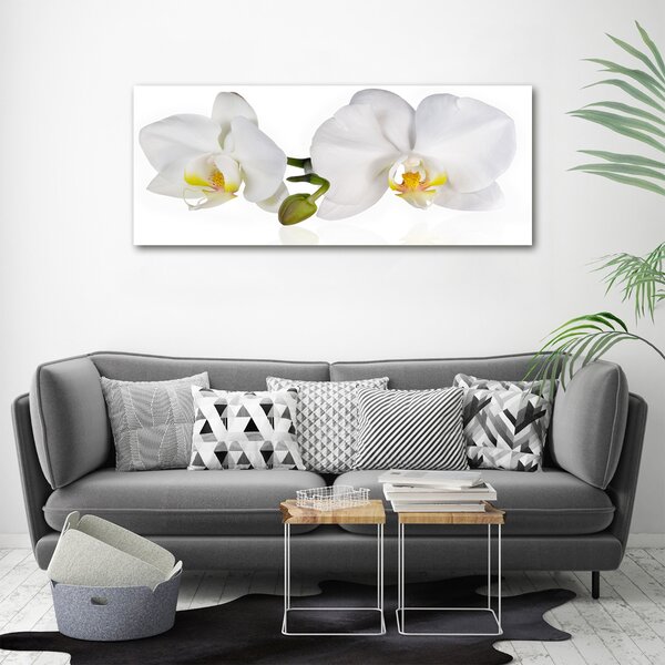 Foto obraz na plátně Orchidej oc-103920801