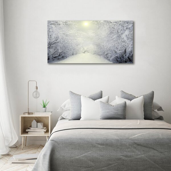 Foto obraz fotografie na skle Hezký zimní les osh-103882841