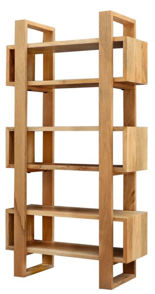 Knihovna 85x160x35 z masivu mango