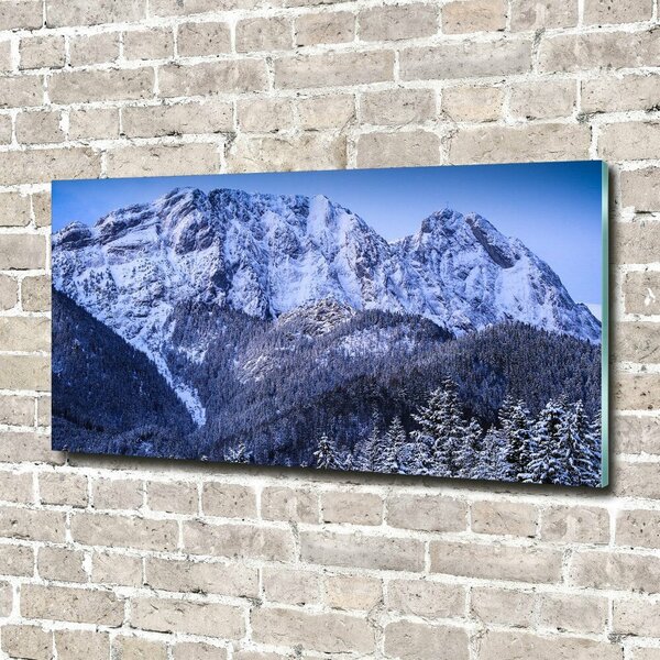 Fotoobraz na skle Gievont Tatry osh-104104346