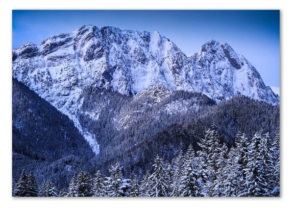 Fotoobraz na skle Gievont Tatry osh-104104346