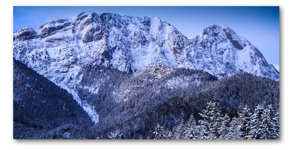 Fotoobraz na skle Gievont Tatry osh-104104346