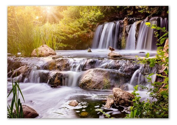 Foto-obraz fotografie na skle Vodopád osh-104331347
