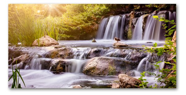 Foto-obraz fotografie na skle Vodopád osh-104331347