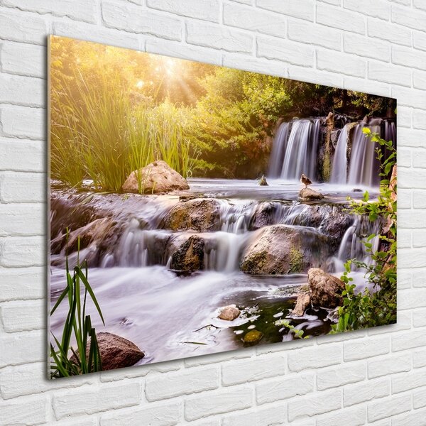 Foto-obraz fotografie na skle Vodopád osh-104331347