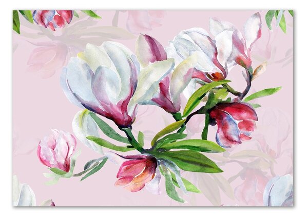Fotoobraz skleněný na stěnu do obýváku Květiny magnolie osh-104301807