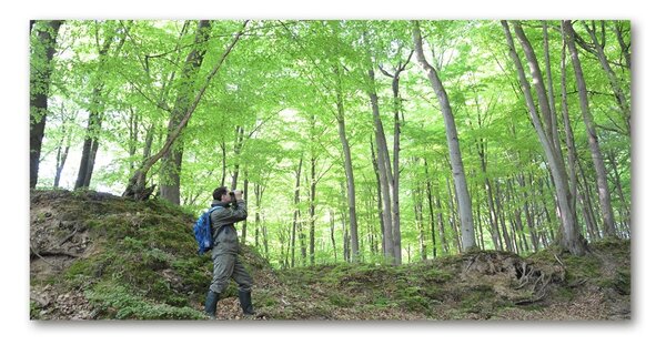 Fotoobraz na skle Ornitolog v lese osh-104592106
