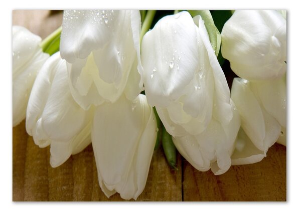 Fotoobraz na skle Bílé tulipány osh-104686883