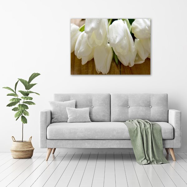 Foto obraz na plátně Bílé tulipány oc-104686883