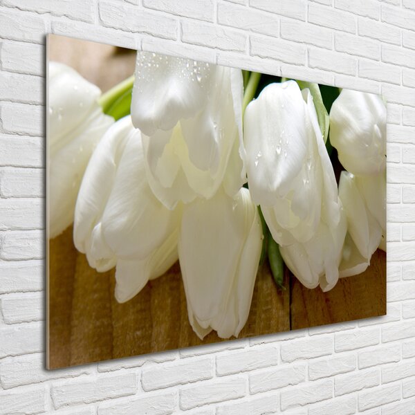 Fotoobraz na skle Bílé tulipány osh-104686883