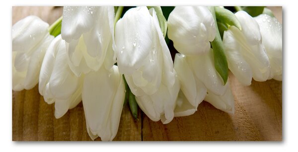 Fotoobraz na skle Bílé tulipány osh-104686883
