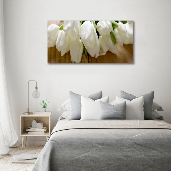 Foto obraz na plátně Bílé tulipány oc-104686883