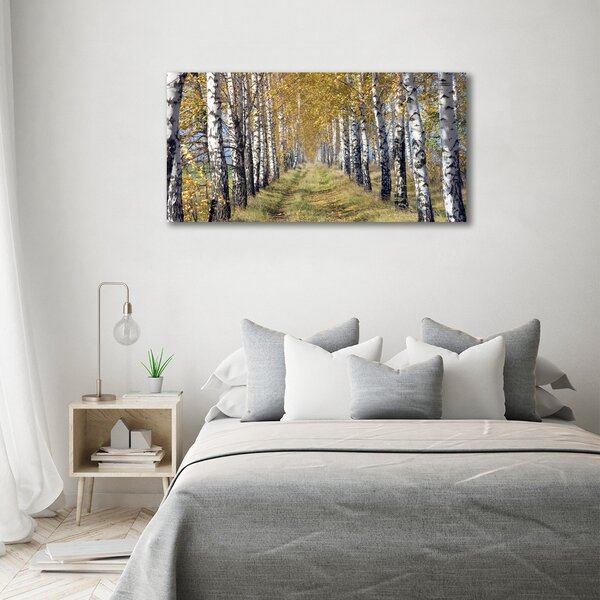 Foto obraz skleněný horizontální Břízy podzím osh-105179971