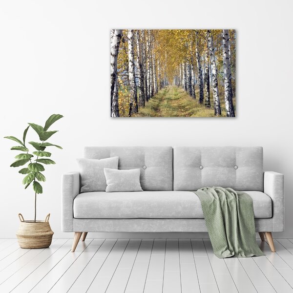Foto obraz skleněný horizontální Břízy podzím osh-105179971