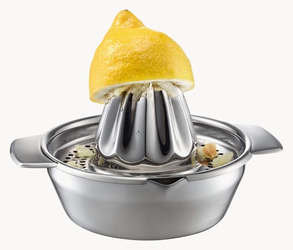 Lis na citrusy Lemon