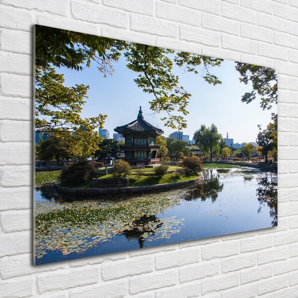 Foto obraz sklo tvrzené Jižní Korea osh-105909077