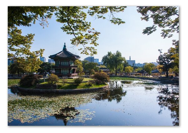 Foto obraz sklo tvrzené Jižní Korea osh-105909077