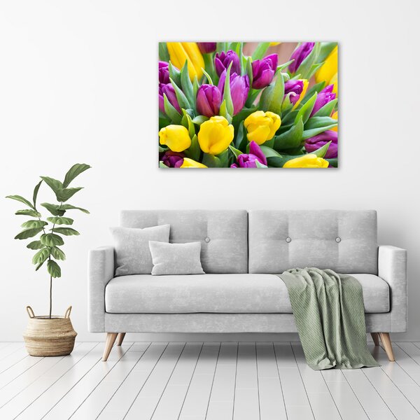 Foto obraz canvas Barevné tulipány oc-106061917