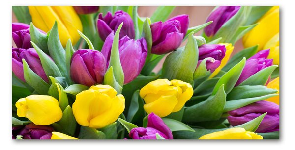 Foto obraz sklo tvrzené Barevné tulipány osh-106061917