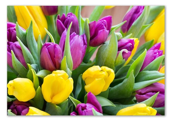 Foto obraz sklo tvrzené Barevné tulipány osh-106061917