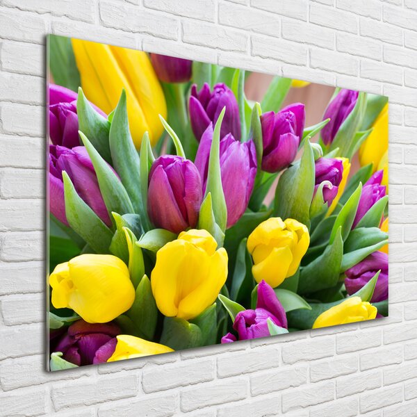 Foto obraz sklo tvrzené Barevné tulipány osh-106061917