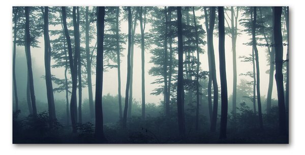 Foto obraz fotografie na skle Les v mlze osh-106280644