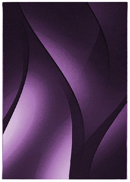 Breno Kusový koberec PLUS 8010 Lila, 200x290 cm, Fialová/Vícebarevné