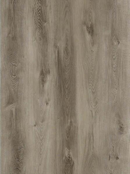 CANADIAN DESIGN Comfort line Dub modern SA151 8594187730956