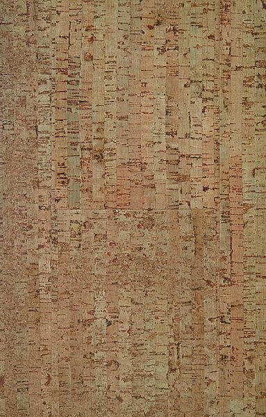 AMORIM WICANDERS Wise cork inspire Traces tea 80003477 - 1.91 m2