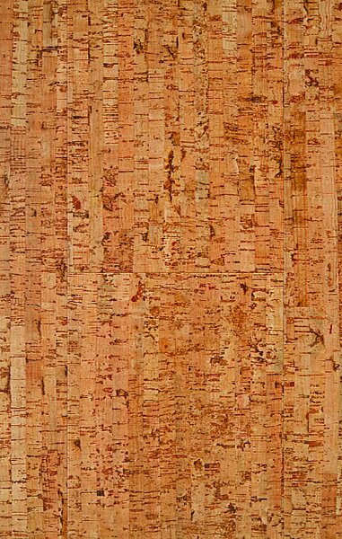AMORIM WICANDERS Wise cork inspire Traces spice 80003478 - 1.91 m2