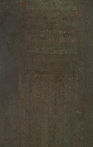 AMORIM WICANDERS Wise cork inspire Fashionable grafite 80003492 - 1.91 m2
