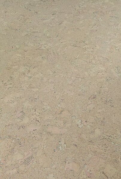 AMORIM WICANDERS Wise cork inspire Shell jasmin 80003483 - 1.91 m2