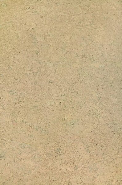 AMORIM WICANDERS Wise cork inspire Shell marfim 80003484 - 1.91 m2