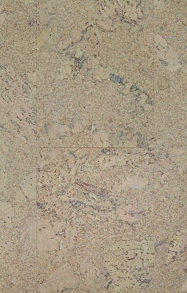 AMORIM WICANDERS Wise cork inspire Shell jasmin 80003483 - 1.91 m2