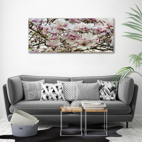 Foto-obraz canvas do obýváku Květiny magnolie oc-107287859