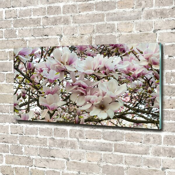 Foto obraz sklo tvrzené Květiny magnolie osh-107287859