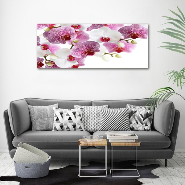 Foto obraz na plátně do obýváku Orchidej oc-107506962