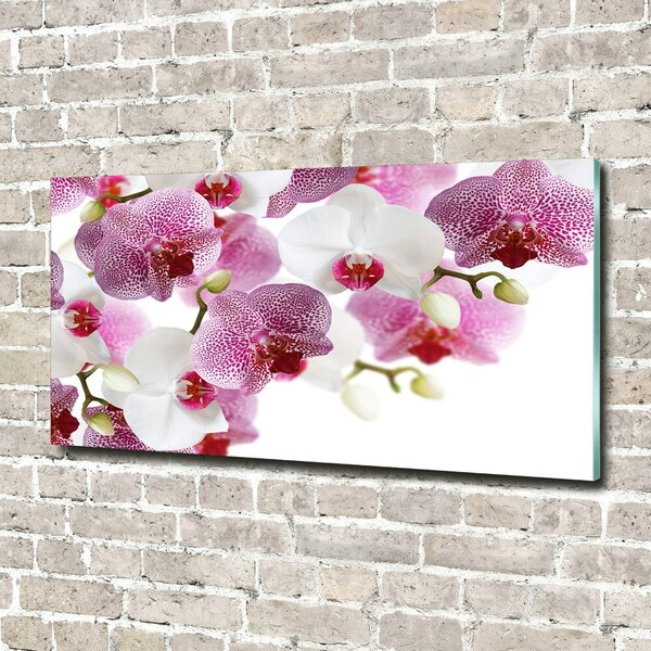 Foto obraz sklo tvrzené Orchidej osh-107506962