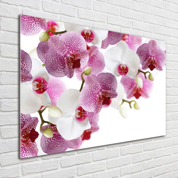 Foto obraz sklo tvrzené Orchidej osh-107506962
