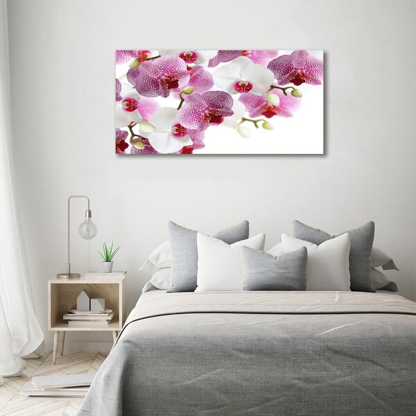 Foto obraz na plátně do obýváku Orchidej oc-107506962